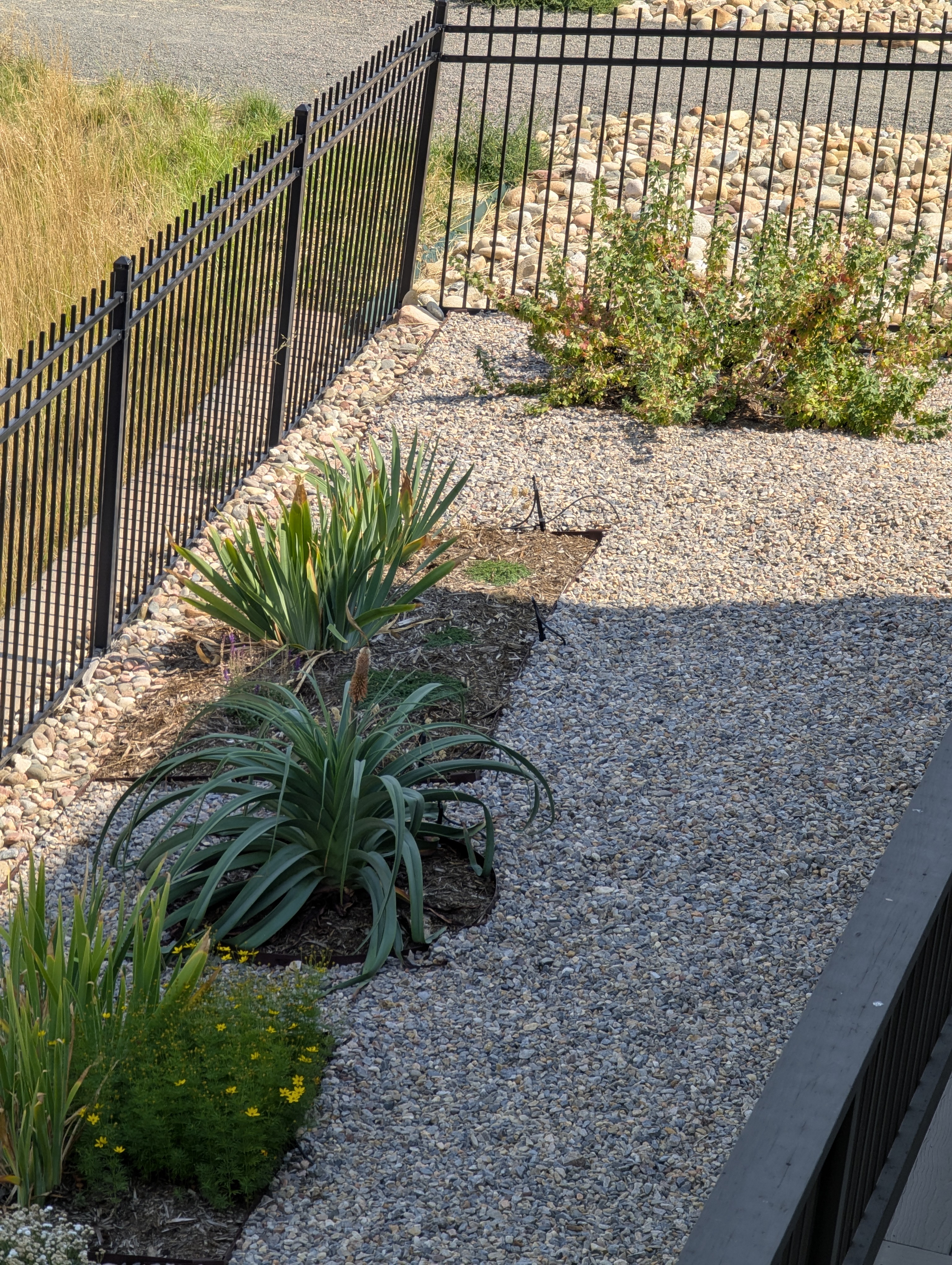 Garden, Morrison, Colorado